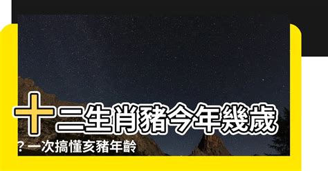 1996年生肖豬|屬豬今年幾歲？2024屬豬生肖年齡對照表！屬豬性格特質